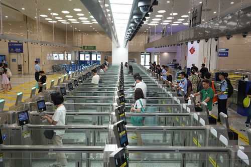 中國科技網 引領網絡技術服務創新，賦能數字中國建設